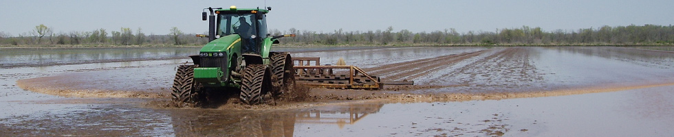 Trains de chenilles pour le travail sur sols humides
